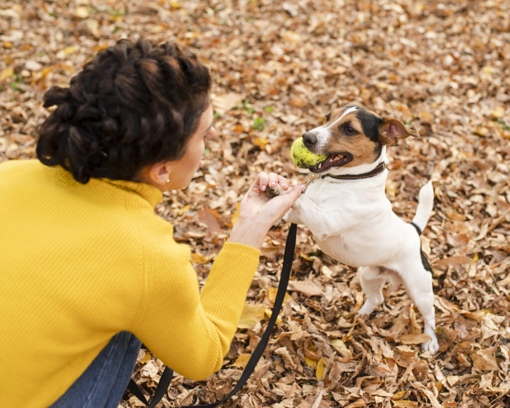 close-up-woman-playing-with-her-puppy